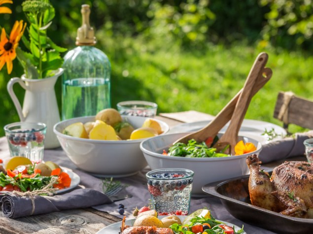 Tasty dinner with chicken and vegetables served in the garden