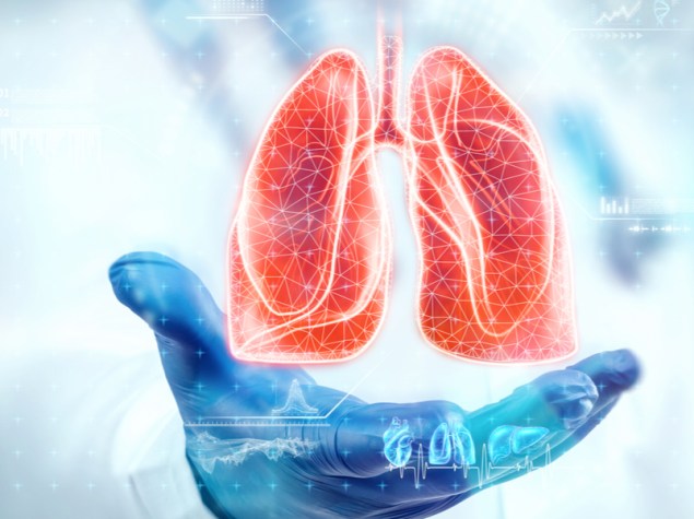 foto di un dottore che tiene sul palmo di una mano una rappresentazione digitale di due polmoni