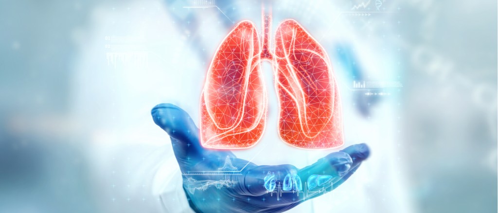 foto di un dottore che tiene sul palmo di una mano una rappresentazione digitale di due polmoni