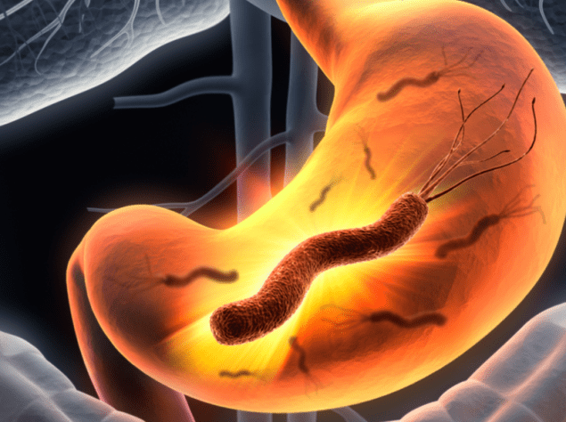 immagine 3D di un helicobacter dentro uno stomaco