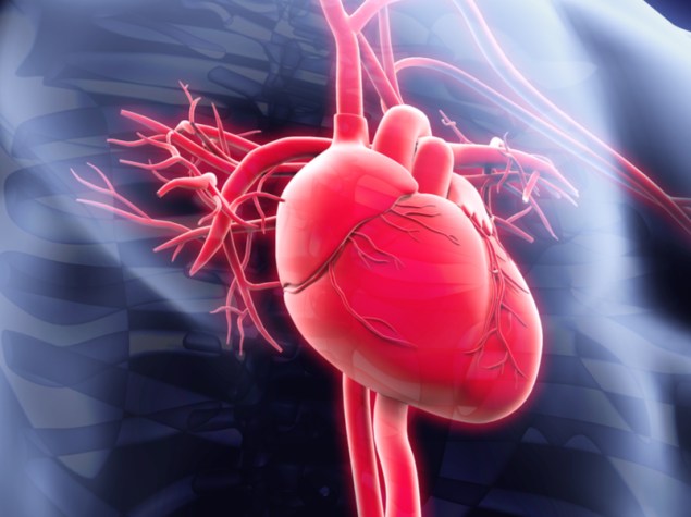 Immagine cuore in 3d