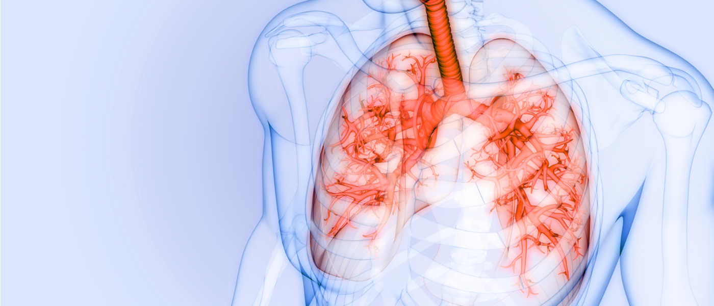 rappresentazione digitale dei polmoni all'interno della gabbia toracica