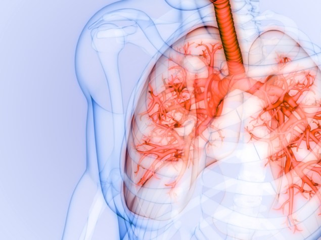 rappresentazione digitale dei polmoni all'interno della gabbia toracica