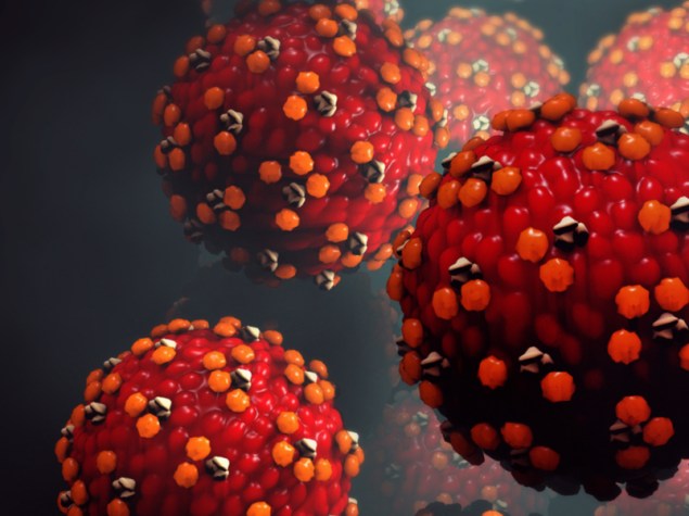 cellule del morbillo