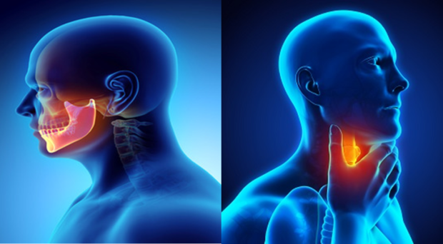 immagine in contrasto cromatico blu scuro e blu chiaro che mostra un uomo dalle spalle alla testa ed evidenzia il collo e la mandibola