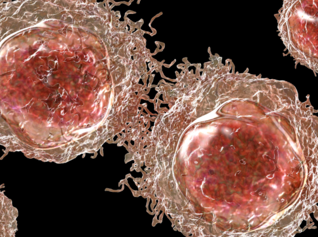 cellule del cancro
