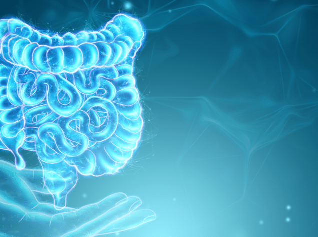 rappresentazione 3D di un intestino
