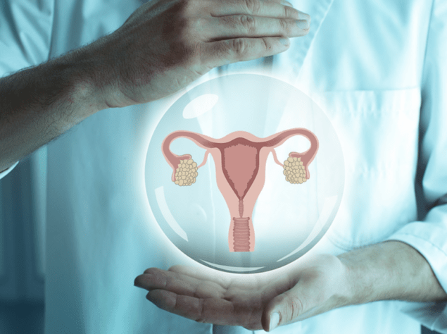 Foto di medico che tiene il modello di utero e ovaie tra le due mani