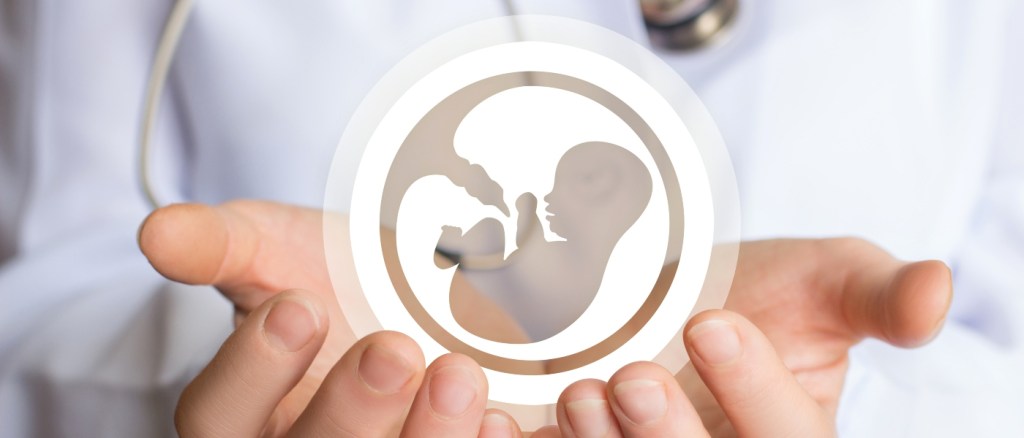 dottore che tiene tra le mani un immagine digitale di feto