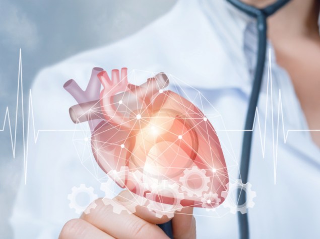 Medico con modellino cuore