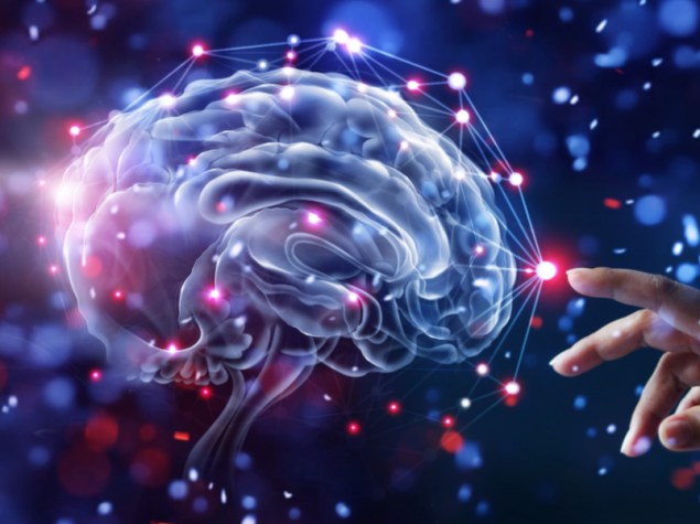 Rappresentazione cervello