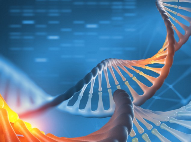 struttura di dna a doppia elica