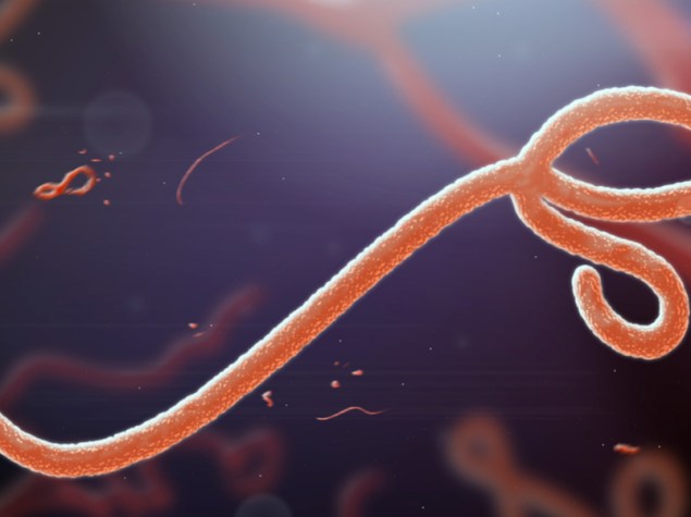 virus ebola
