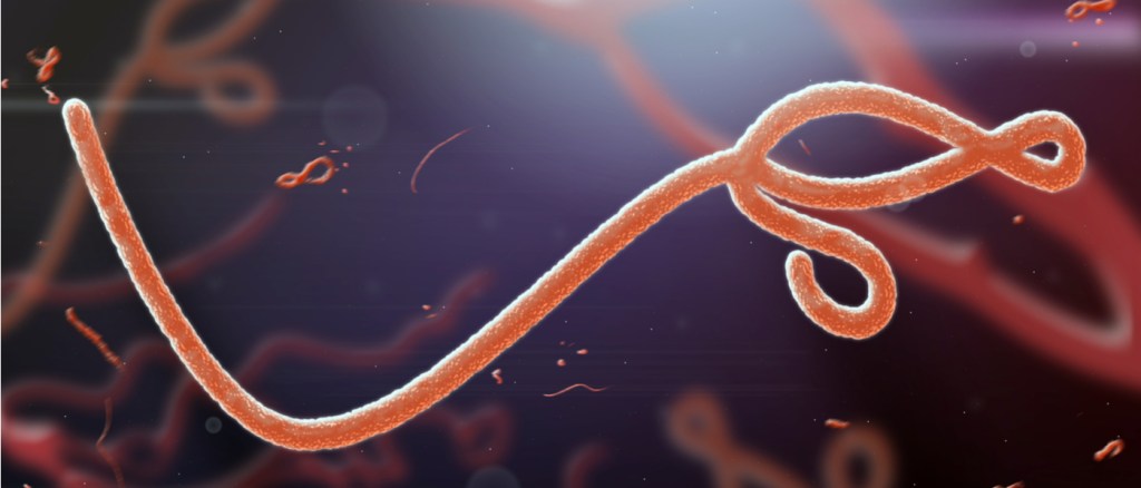virus ebola