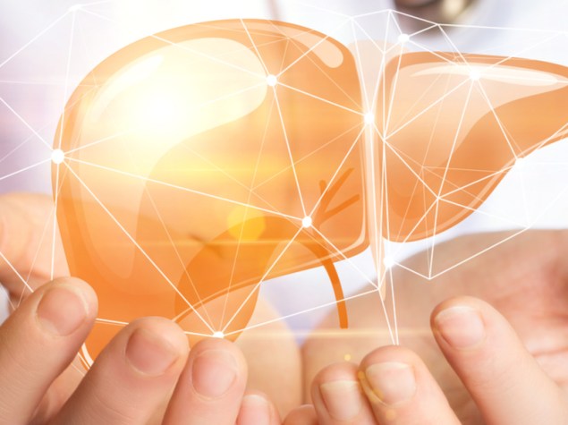 Medico tiene in mano fegato 3d