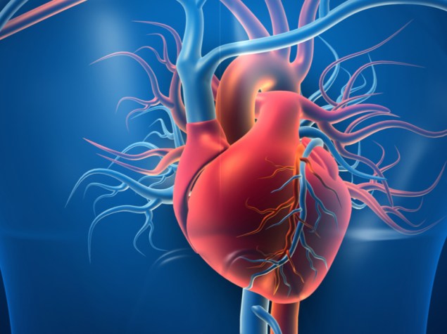 immagine 3D di un cuore in un modello ologramma di corpo umano