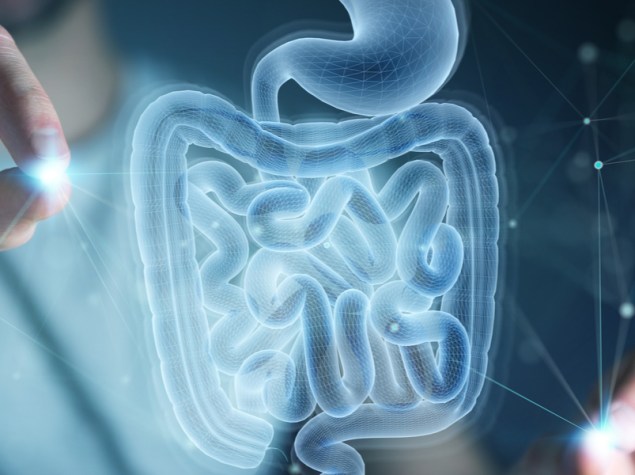 Immagine 3d intestino