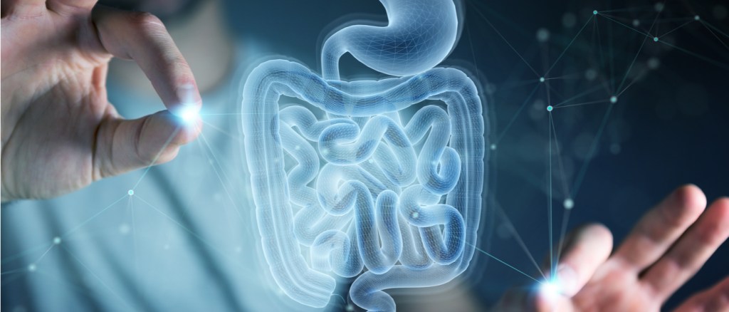 Immagine 3d intestino