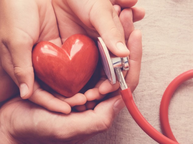 mani che tengono un cuore di plastica