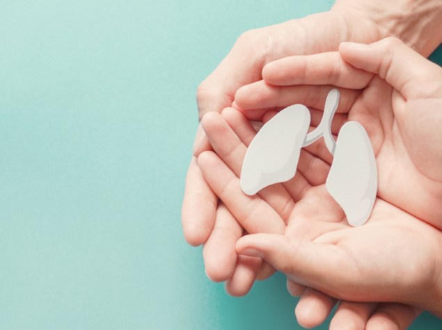 mani di un bambino che tengono un modellino plastico di polmoni