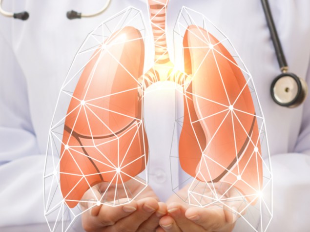 dottore che tiene tra le mani un modellino digitale rappresentante due polmoni