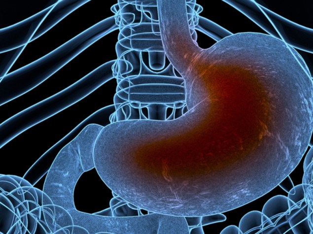 ologramma di un corpo trasparente in 3d, con stomaco colorato di rosso