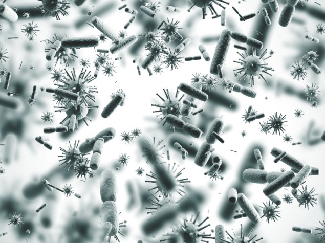 virus al microscopio