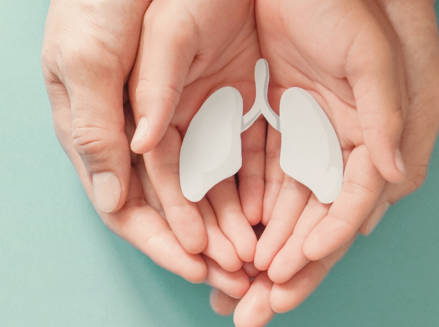 mani che tengono nel palmo un modellino bianco di polmoni