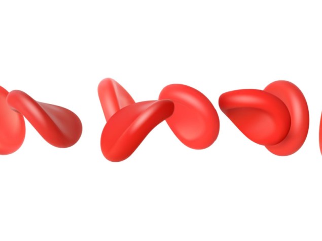 piastrine del sangue