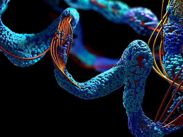 catena proteine blu scuro