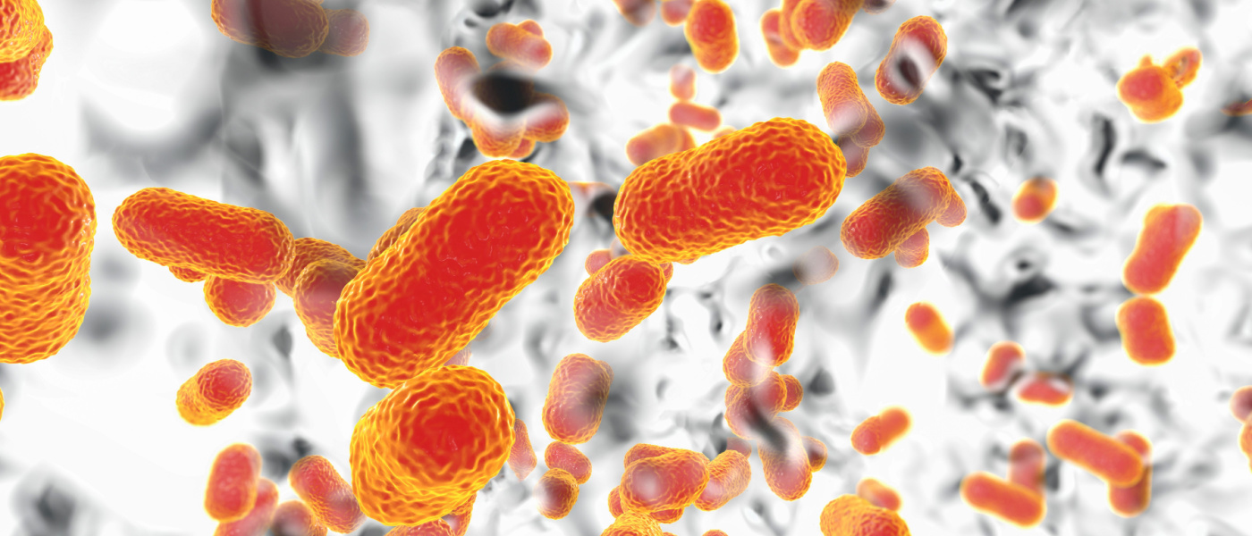 Batteri multifarmaco-resistenti. Biofilm del batterio Acinetobacter baumannii, agente causale comune delle infezioni nosocomiali Illustrazione 3D