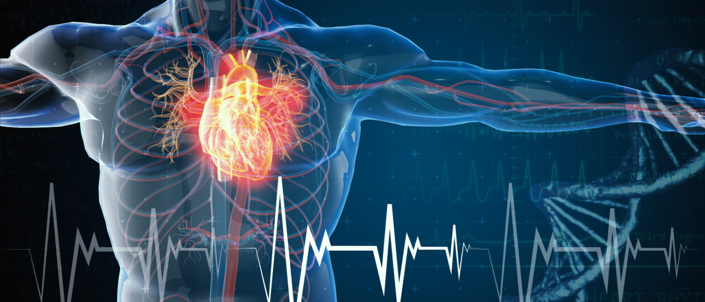 Illustrazione renderizzata in 3d dell'attacco cardiaco e delle malattie cardiache Illustrazione 3D