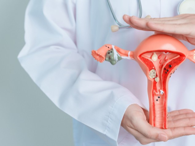 Medico che tiene il modello di utero e ovaie