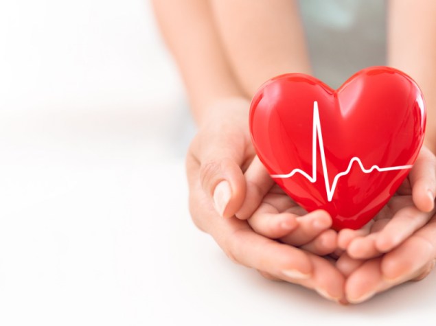 Mani che tengono un cuore