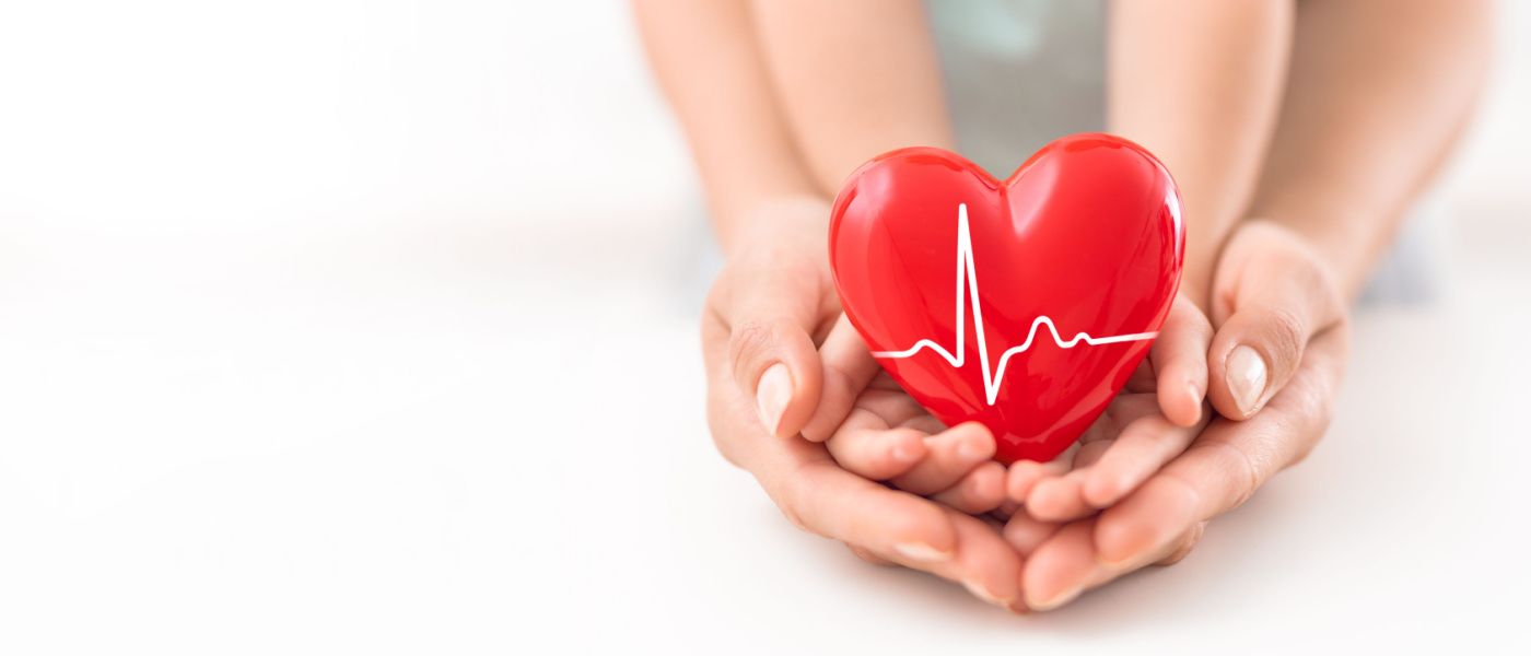 Mani che tengono un cuore