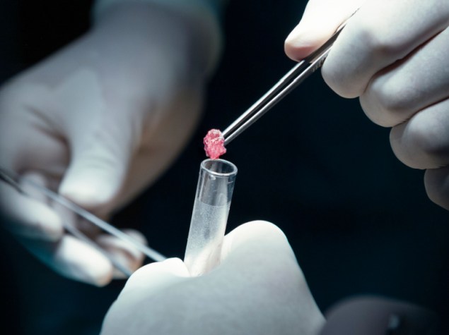 operatori sanitari che eseguono una biopsia