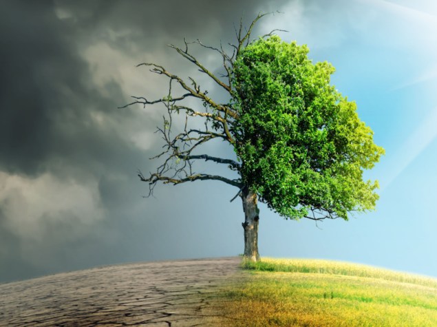 immagine di un albero su una collina, il cielo metà sereno e metà nuvoloso