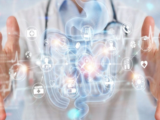 medico che illustra tra le mani il modello digitale di intestino umano