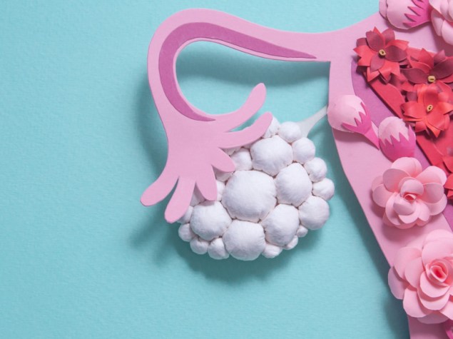 modello in plastica di un ovaio umano