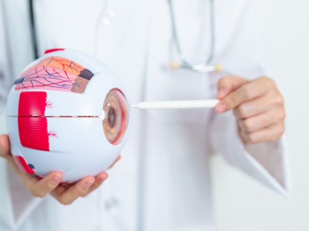 medico mostra modellino occhio