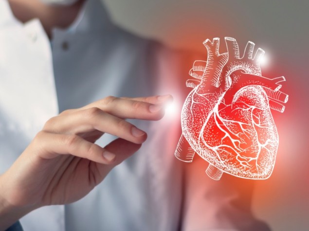 Medico mostra modello cuore