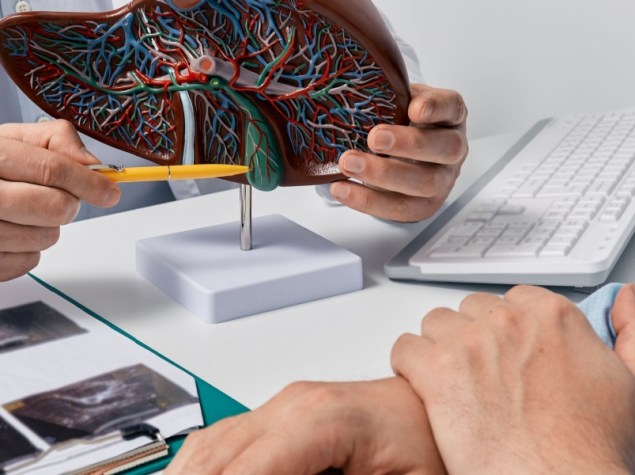 Medico mostra modellino fegato