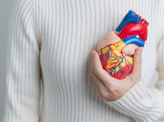 Donna tiene in mano modellino di un cuore