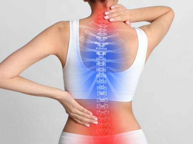 Spina dorsale donna