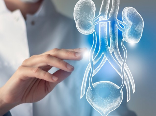 medico che indica vescica