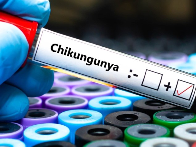 SIRINGA CON SCRITTO CHIKUNGUNGYA_