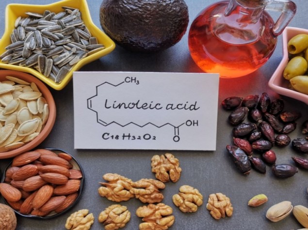 vari alimenti contenenti acidi linoleici e omega 6