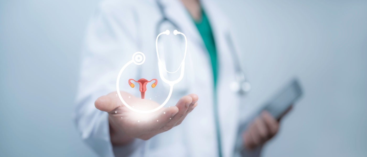 Medico titolare modello virtuale di utero e sistema riproduttivo che rappresenta concetti di salute femminile come PCOS ovarico e cancro cervicale