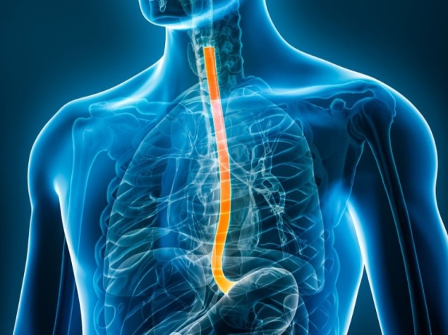 Illustrazione 3D dell'esofago con corpo maschile