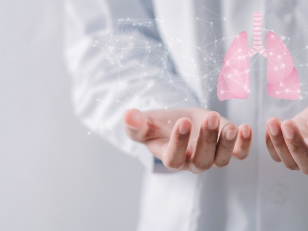 dottore che tiene tra le mani un modellino digitale rappresentante polmoni